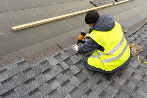 Best Roof Gutter Cleaning  in Ester, AK